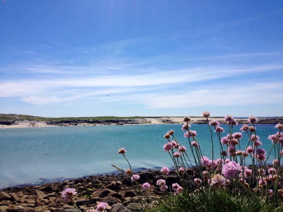 Hotel Dolphin Beach House Clifden Exterior foto