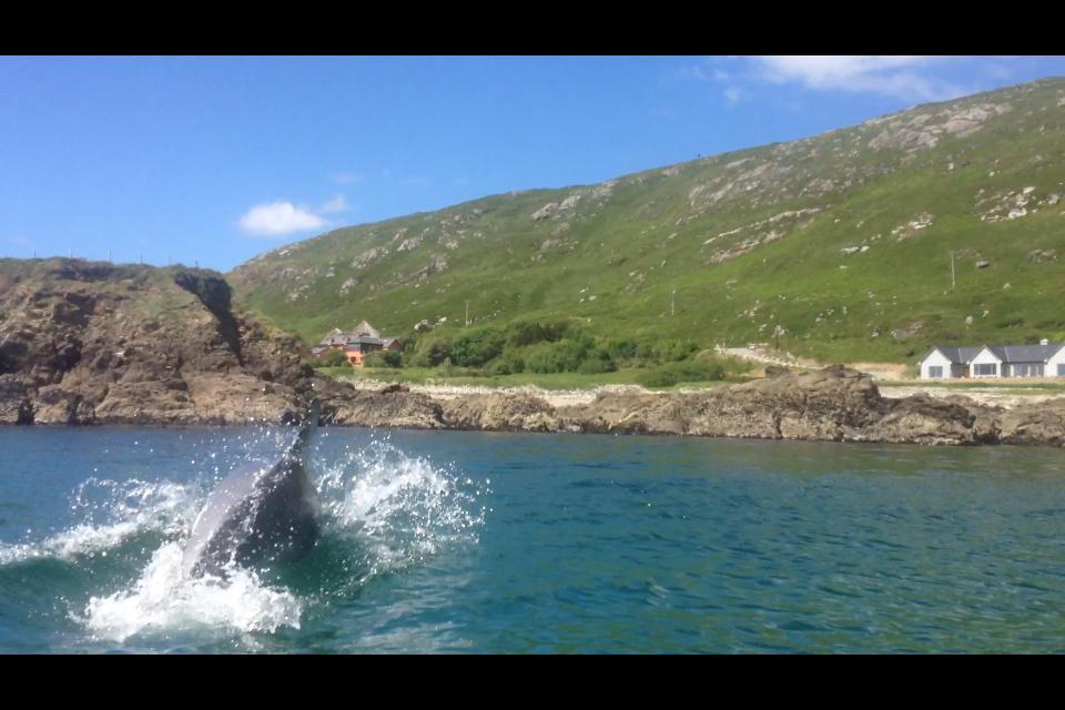 Hotel Dolphin Beach House Clifden Exterior foto